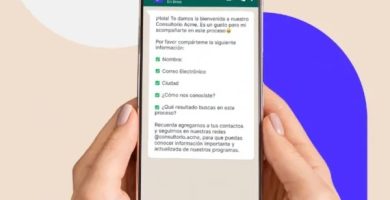 Cómo Configurar Respuestas Automáticas En WhatsApp